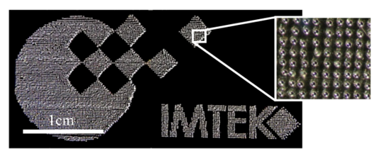 IMTEK-Logo Metall.png