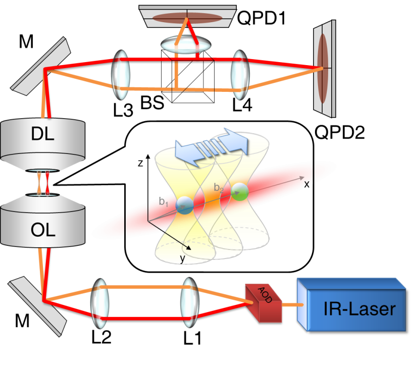 linetrap setup