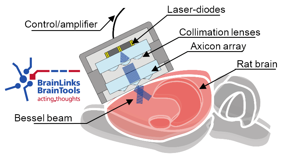 Brain links brain tools