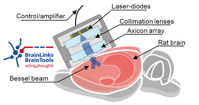 Brain links brain tools