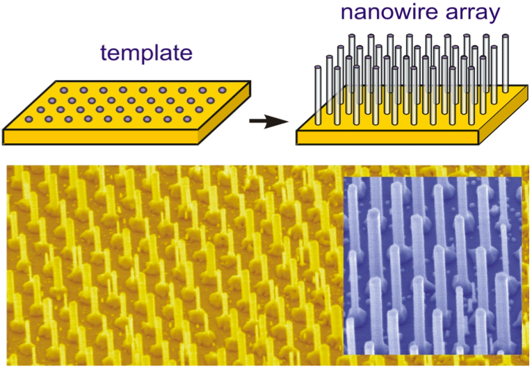 Eyecatcher ZnO nanowires