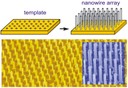 Eyecatcher ZnO nanowires