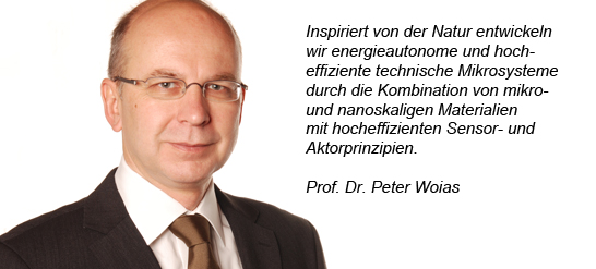 Prof. Dr. Peter Woias